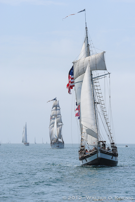 Three Tall Ships