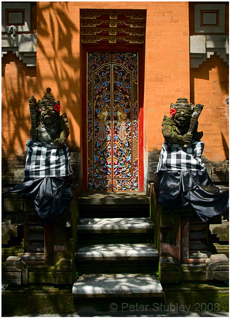 Icons and door.