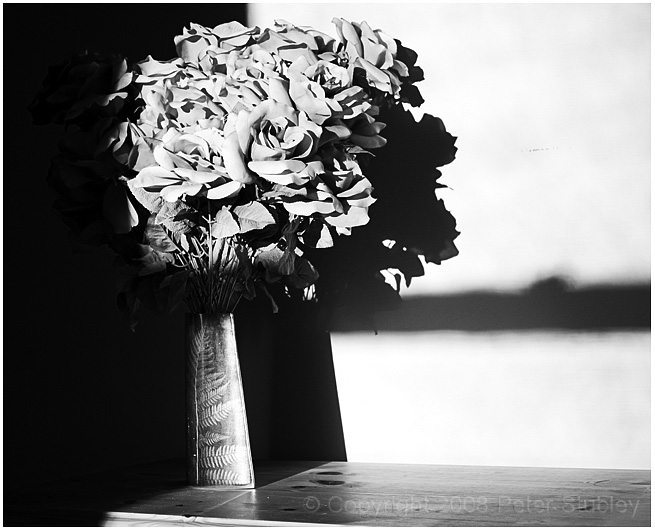 High contrast.