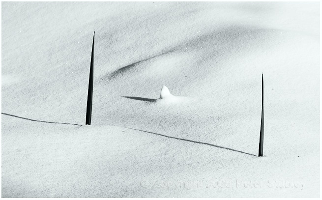 Periscopes.