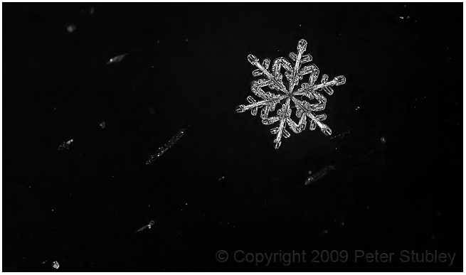 Snowflake.