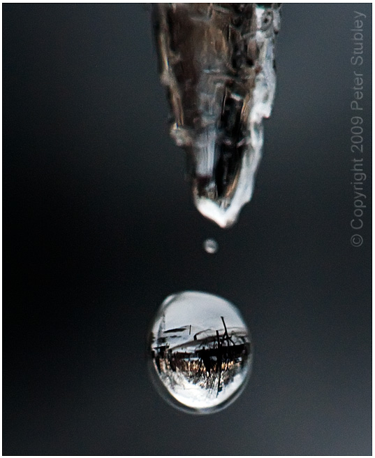 Upside down world.