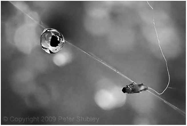 Hanging by a thread.
