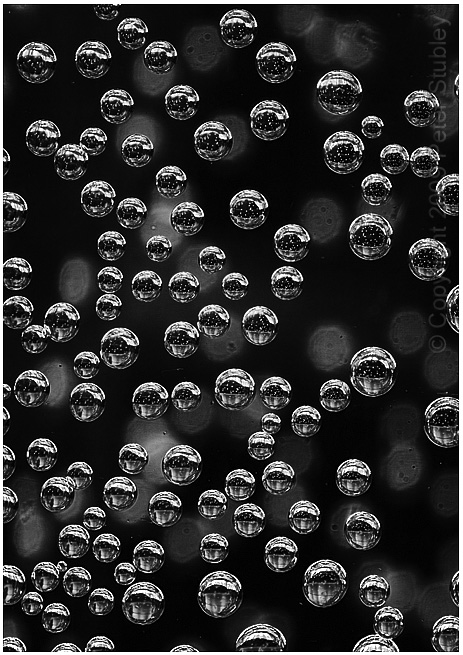 Tiny bubbles.
