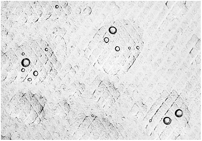 Bubbles in drops.