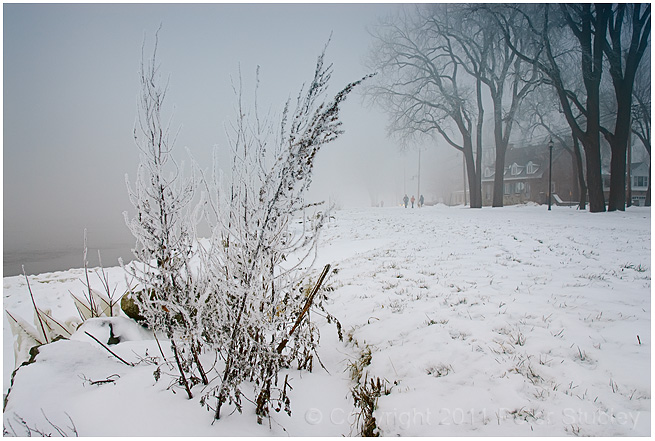 Winterscape.