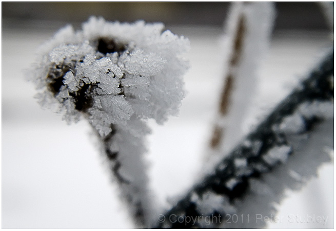 More hoar frost.