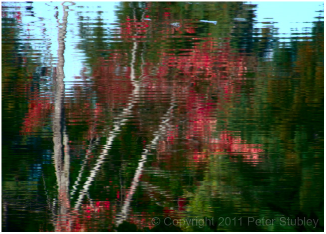 More fall colours.
