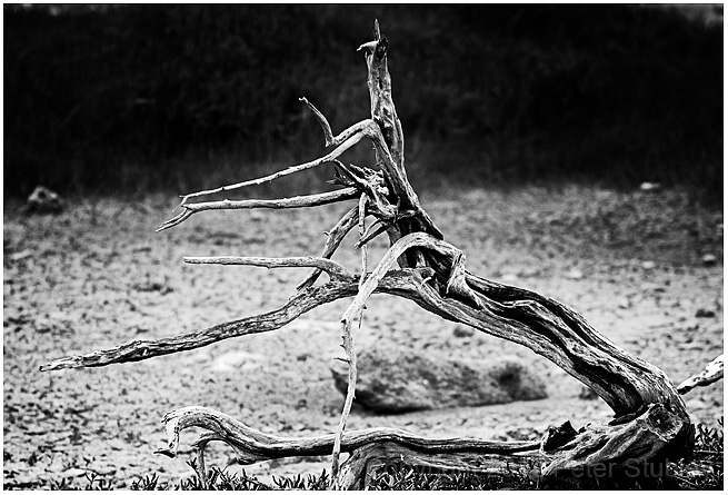 Gnarly.