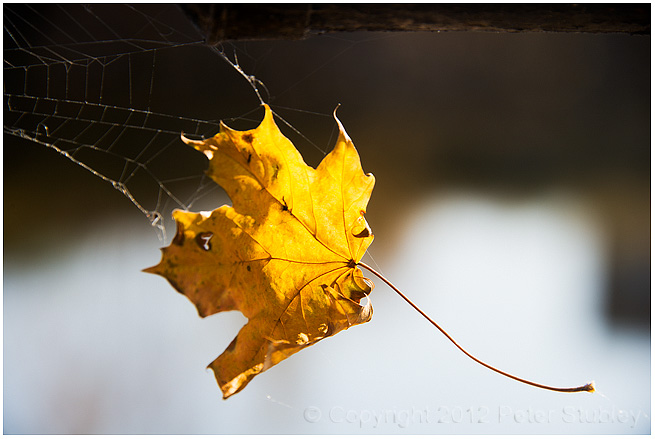 Hanging around.