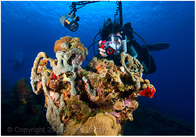 Rita and the scorpion fish
