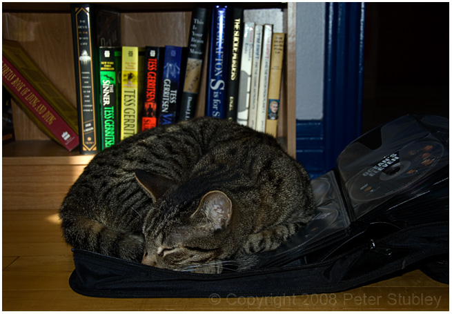 Fang sleeps in the weirdest places