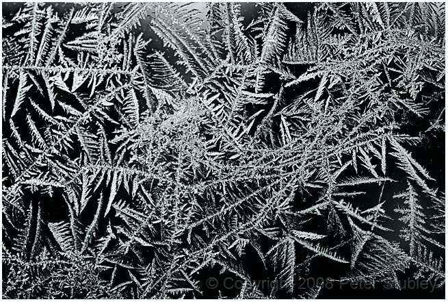 February 17 (1 of 4)