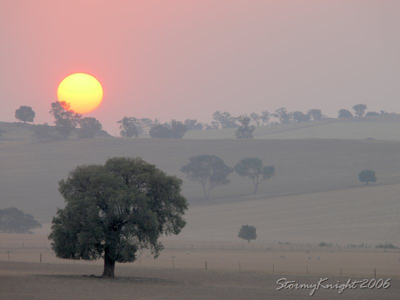 Bush Fire Sunset