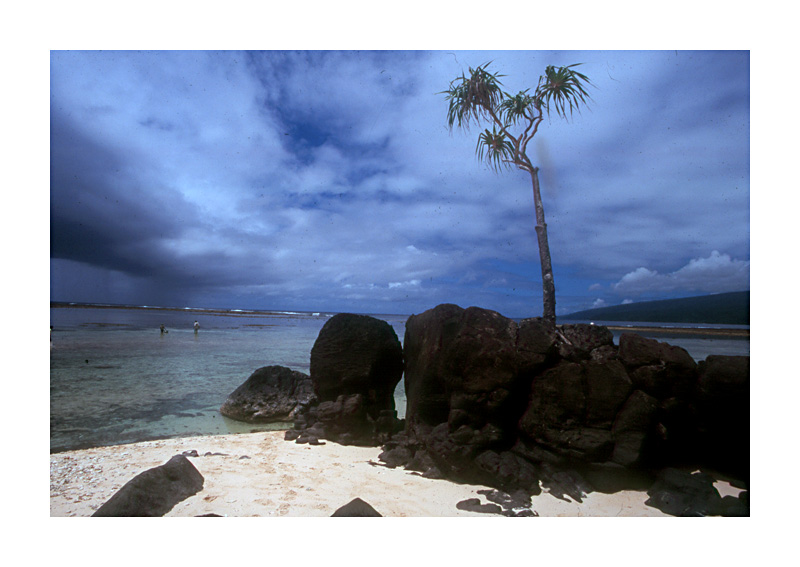 taveuni beach.