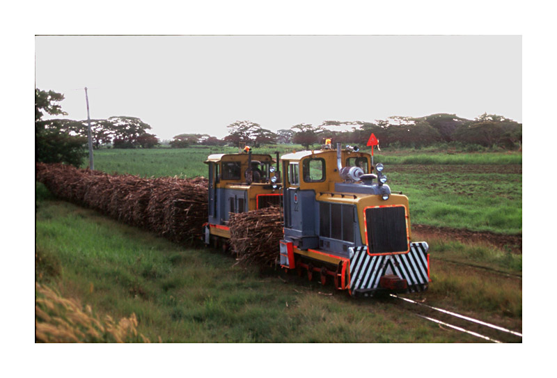 Sugar cane train