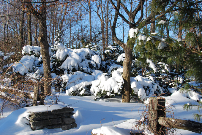 Hiver Qubcois