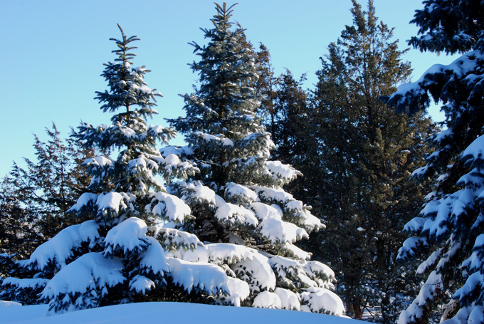 Hiver Qubcois