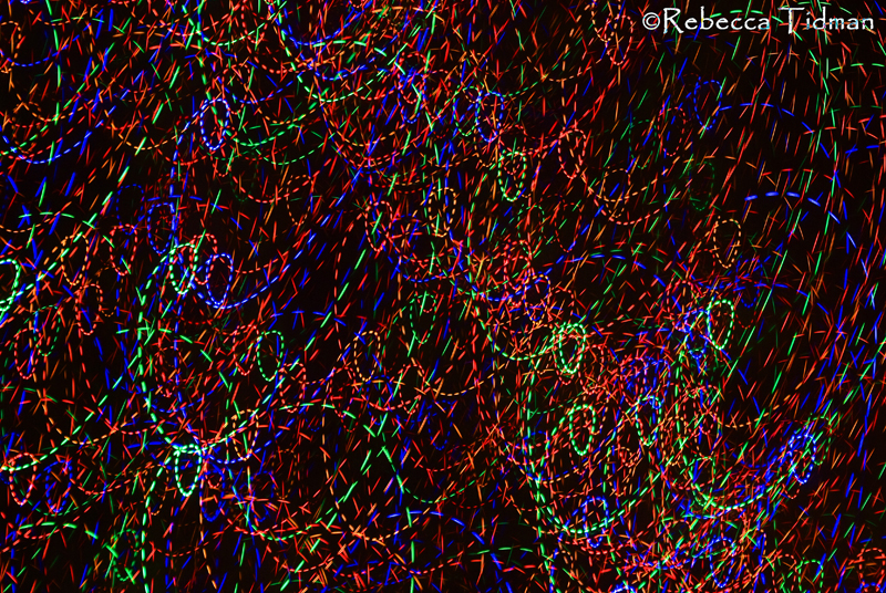 Christmas Lights 2010