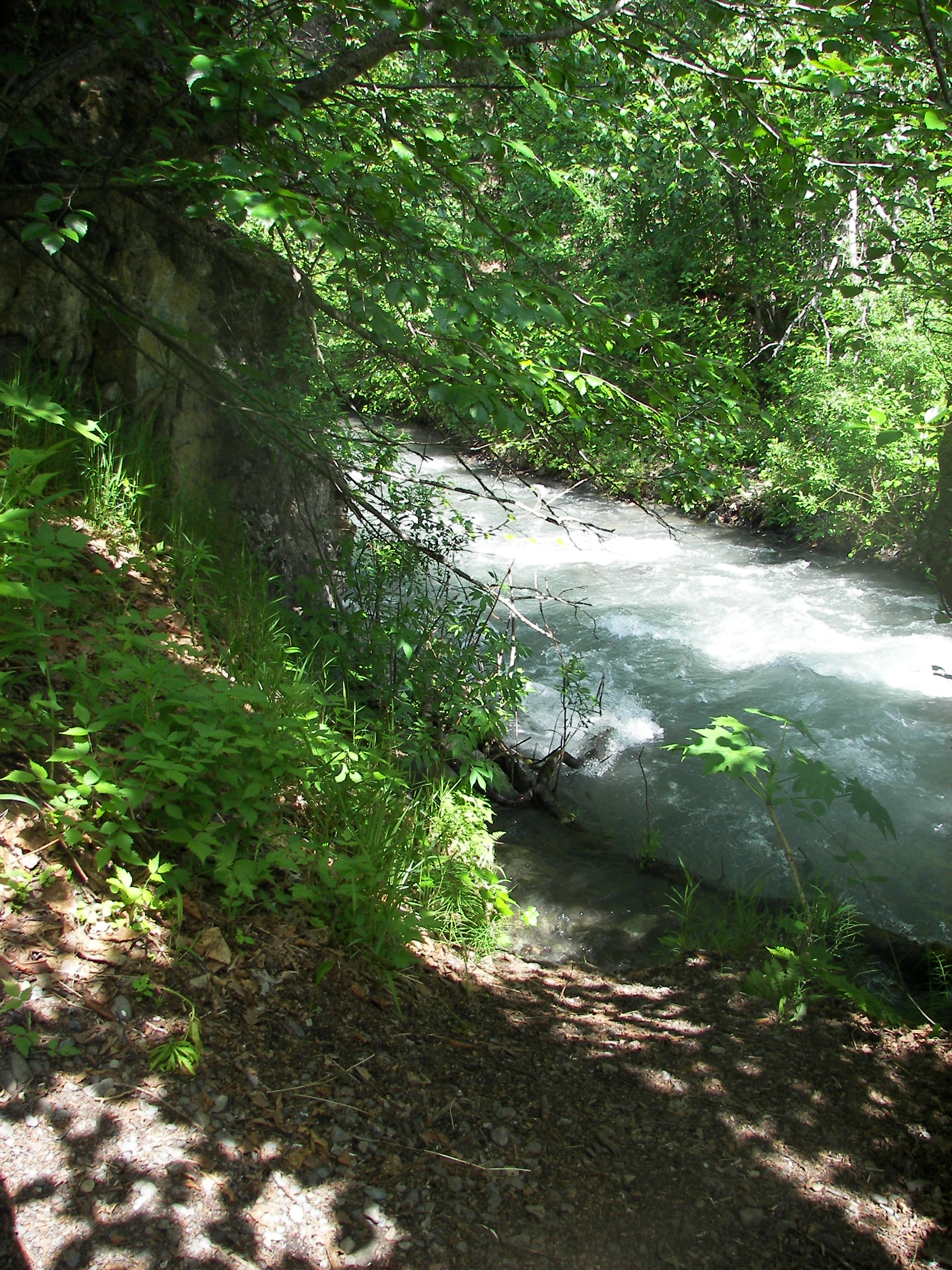 100_7479.JPG