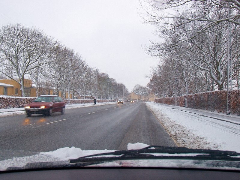 2009-02-16 Just a little snow