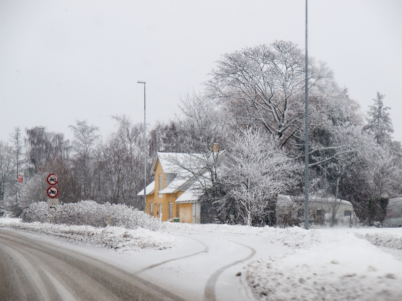 2010-12-12 Snow