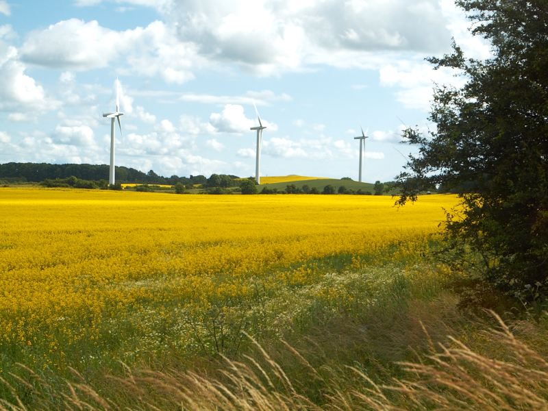 2011-06-24 Wind turbines