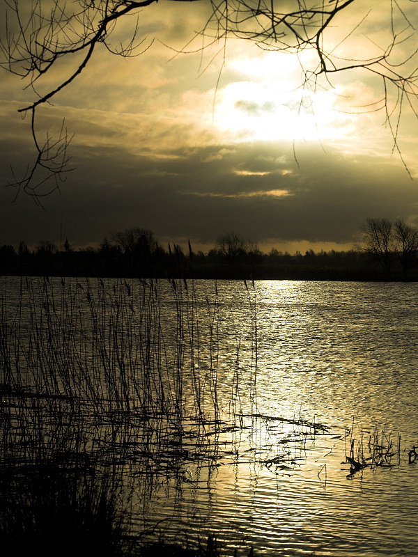 2007-01-19 Sunreflection