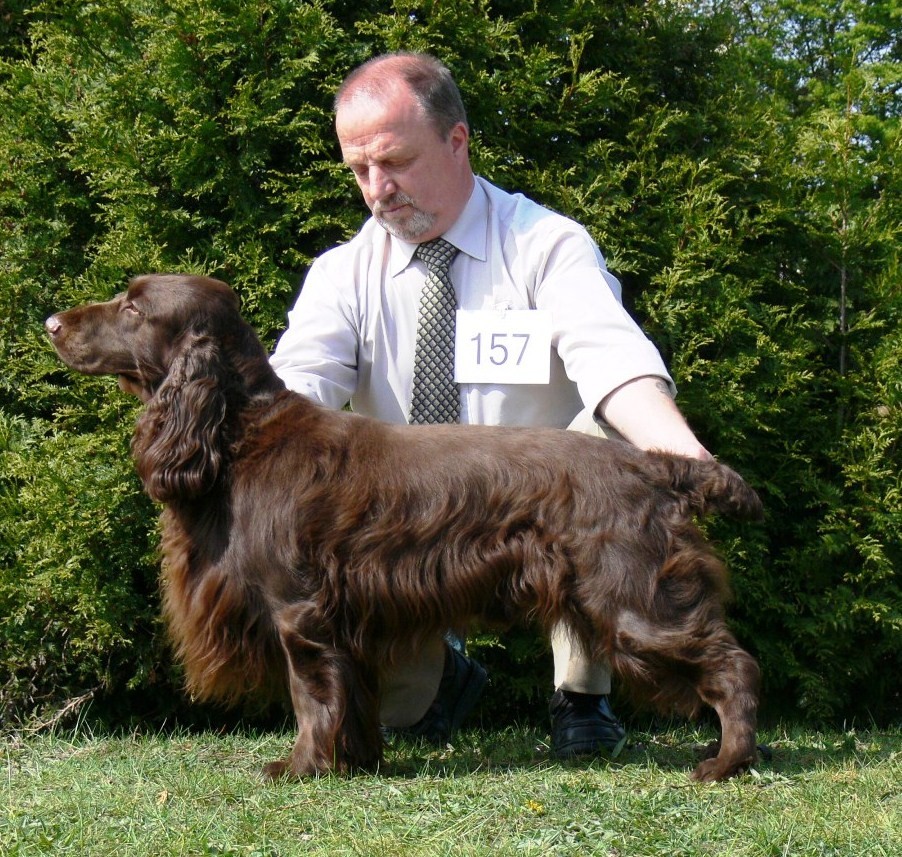 USA open show 2007071.JPG