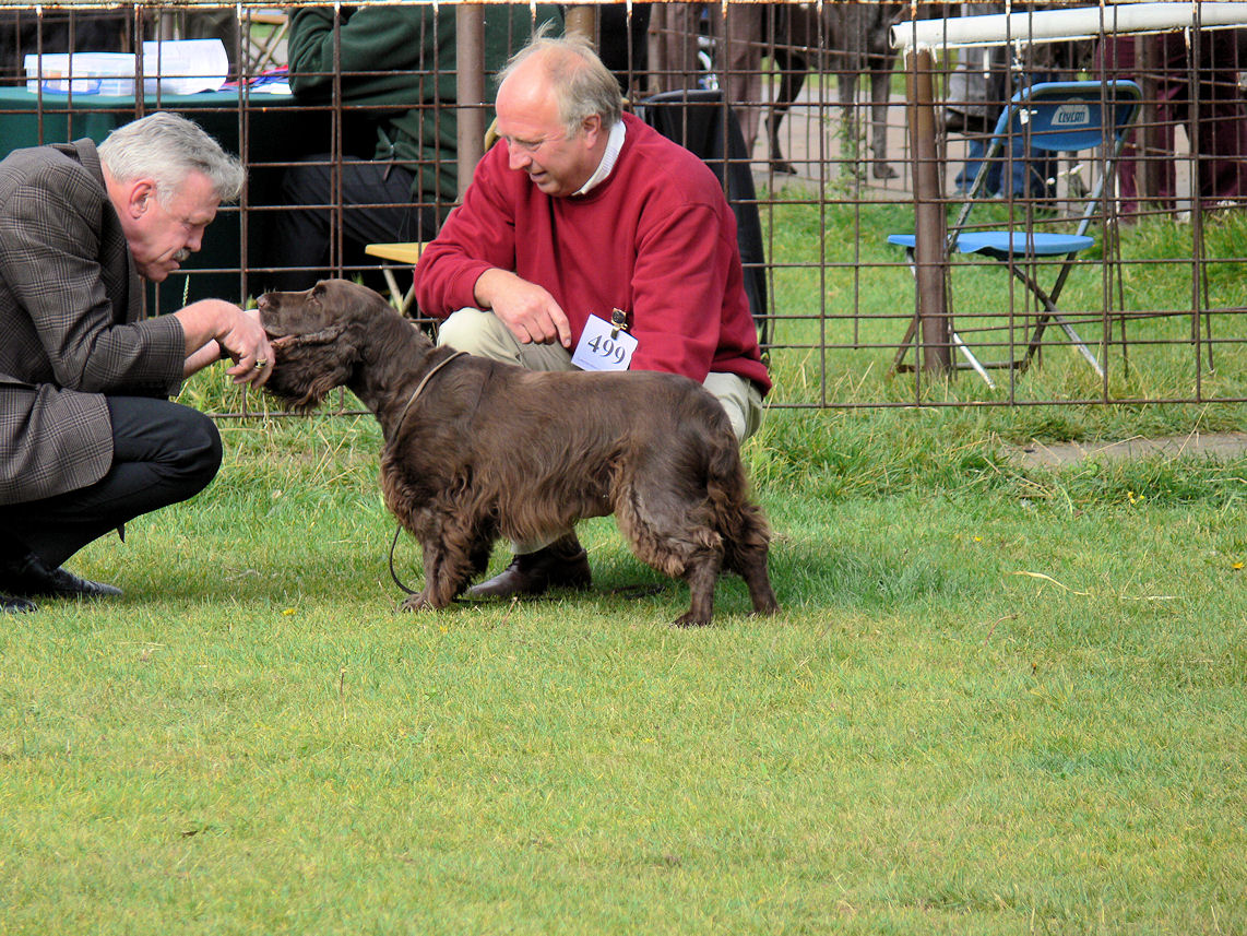 Leicestershire Gundog 040.JPG