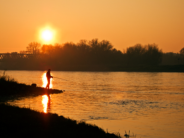 Fisherman on the Elbe #2