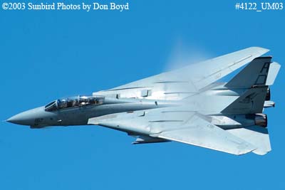USN F-14 Tomcat from VF-101 Grim Reapers military aviation air show stock photo #4122
