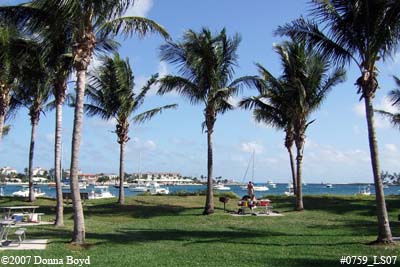 2007 - East side of Peanut Island County Park recreation stock photo #0759