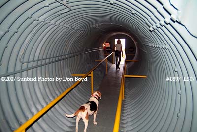 2007 - Entrance and exit tube for the Kennedy bomb shelter on Peanut Island stock photo #0897