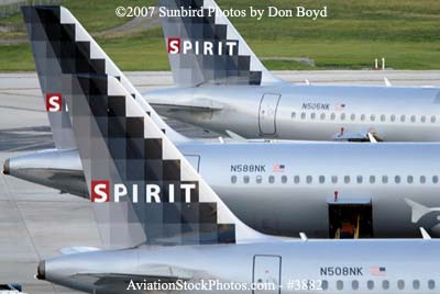 Three Spirit Airbus aircraft at FLL airline aviation stock photo #3882