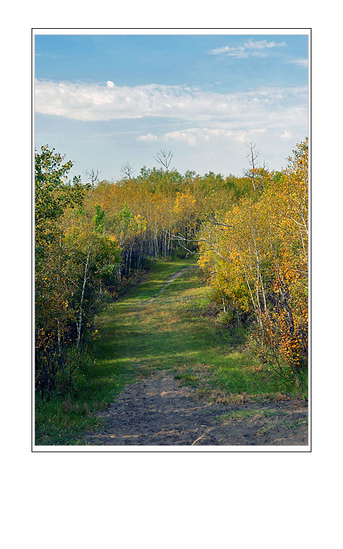 White Butte Walking Trails