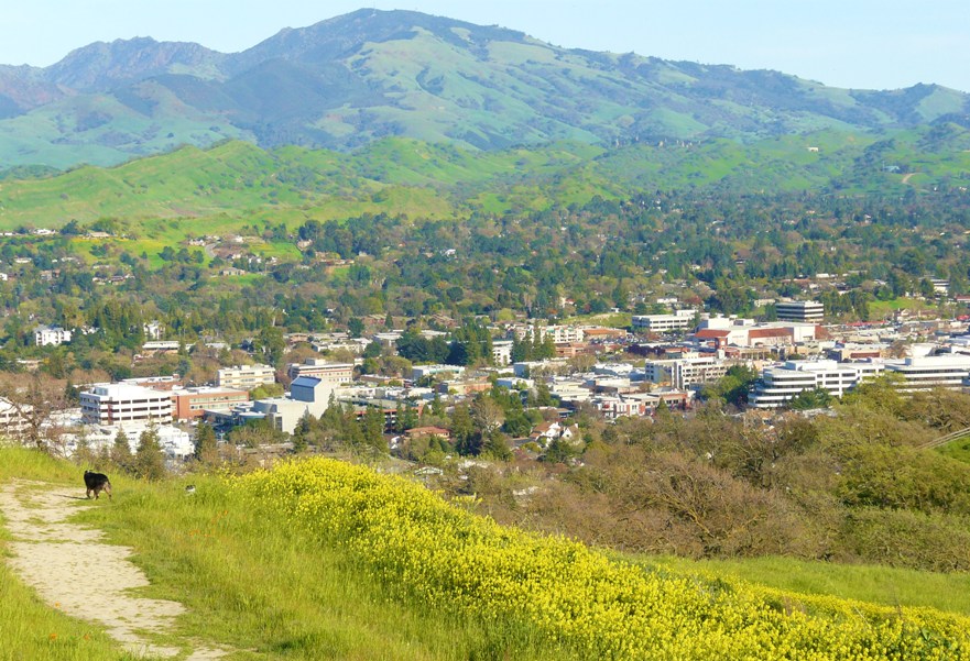 Flo Hendry, Walnut Creek, CA 