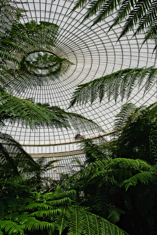 1674. Kibble Palace