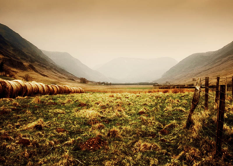 871. My heart is in the Highlands