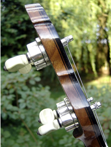 Jedson Tenor Banjo