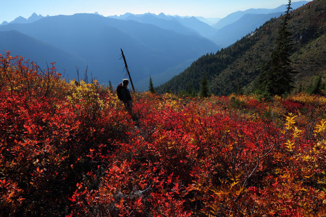 Along The Flora Lake Trail:  Chilliwack River, British Columbia <br> (FloraLkBC100110-146adj.jpg)