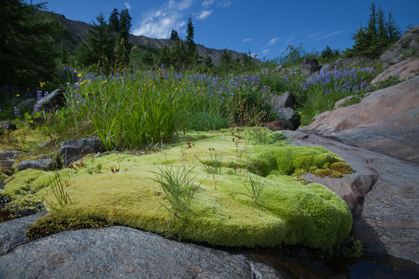 SPaulTr_082012-459-4.jpg