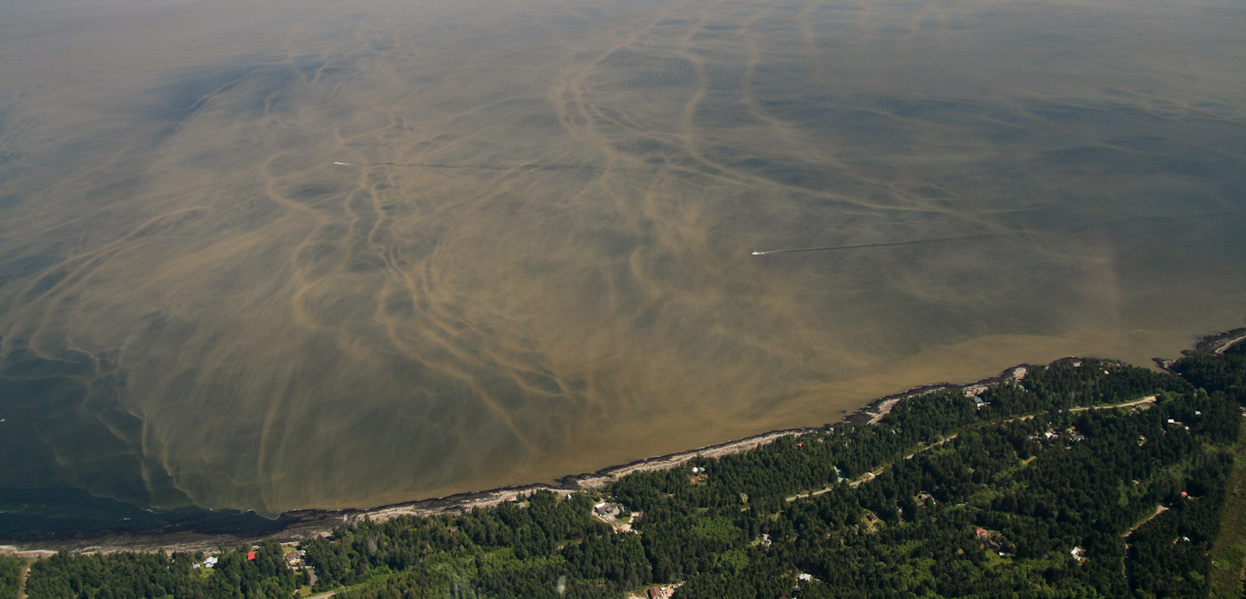 Fraser River Silt Plume <br> (MtFlightCd4GeorSt-051507-304-1.jpg)