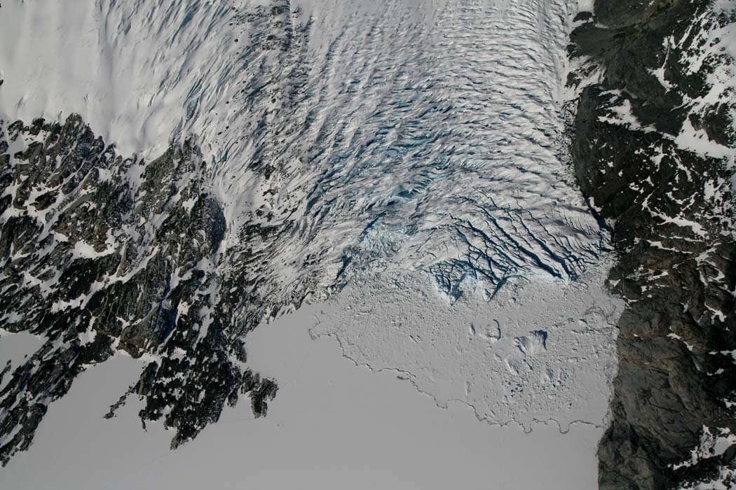 Jacobsen Glacier Terminus, Detail <br> (MonarchIceFld040307-_311.jpg)