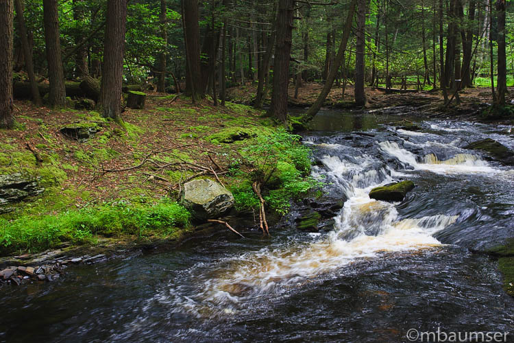 Rapids Along Little Bushkill Creek