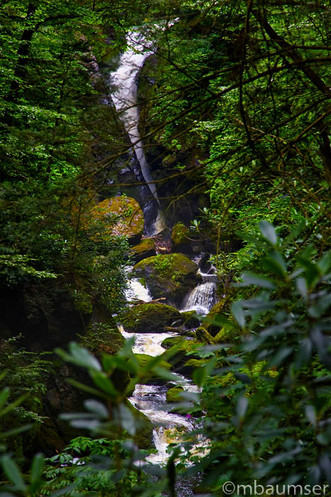 Along Pond Run Creek