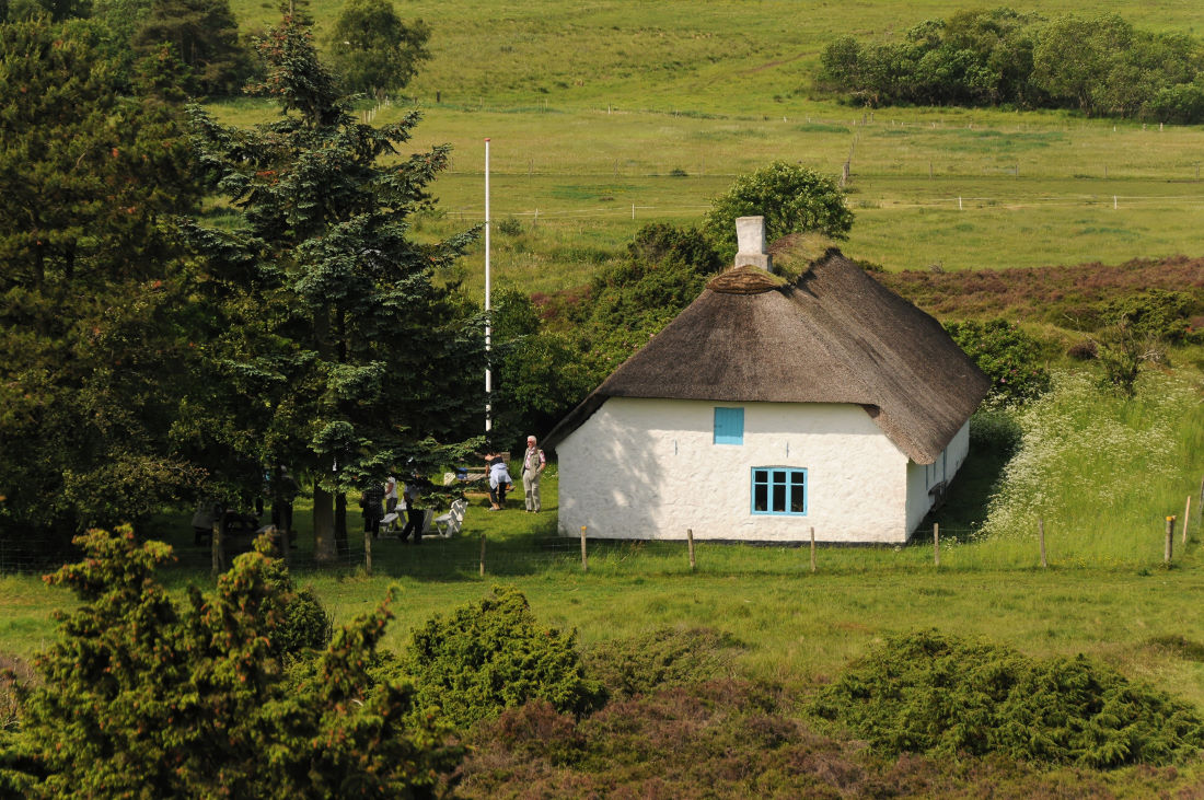 Thatched roof house in Ribild