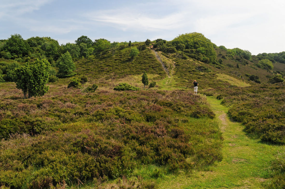 Heather Covered Hills in Ribild National Park