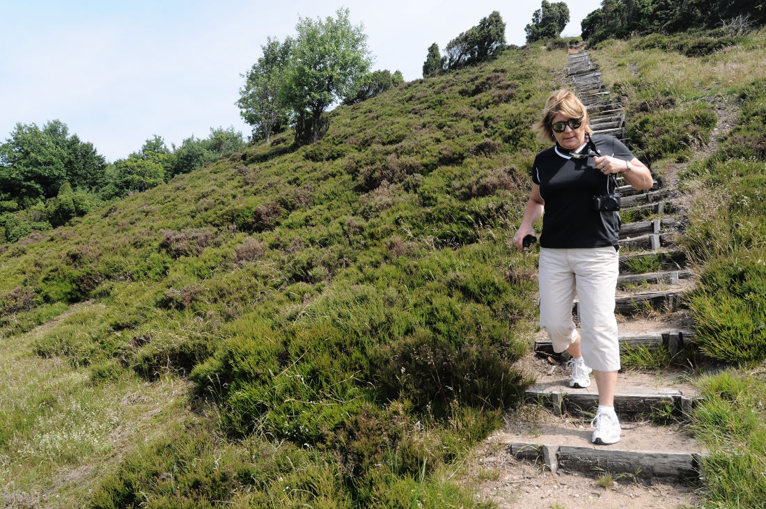 Trail in Ribild National Park