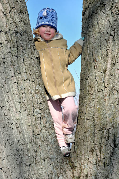 Posing in a Tree